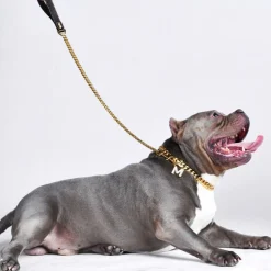 Cuban Link Gold Dog Leash