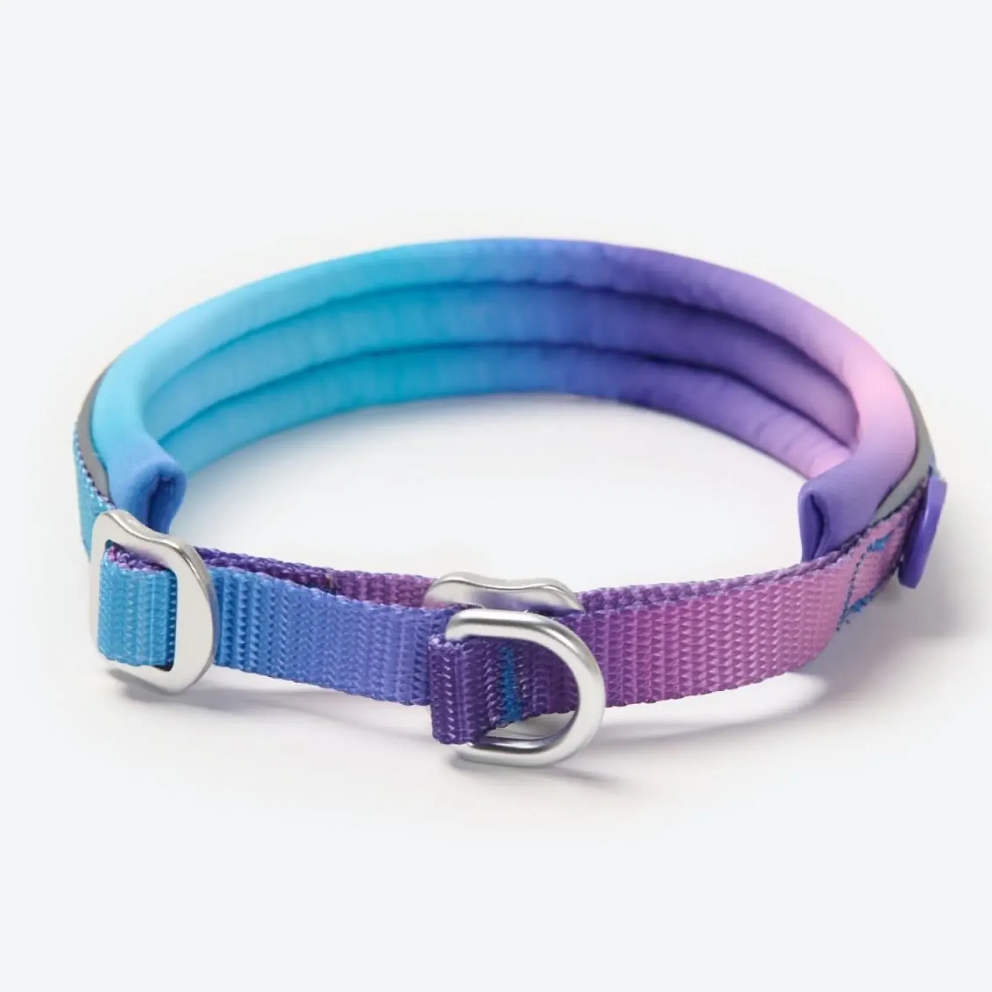 Cushioned Martingale Collar - 90s Retro