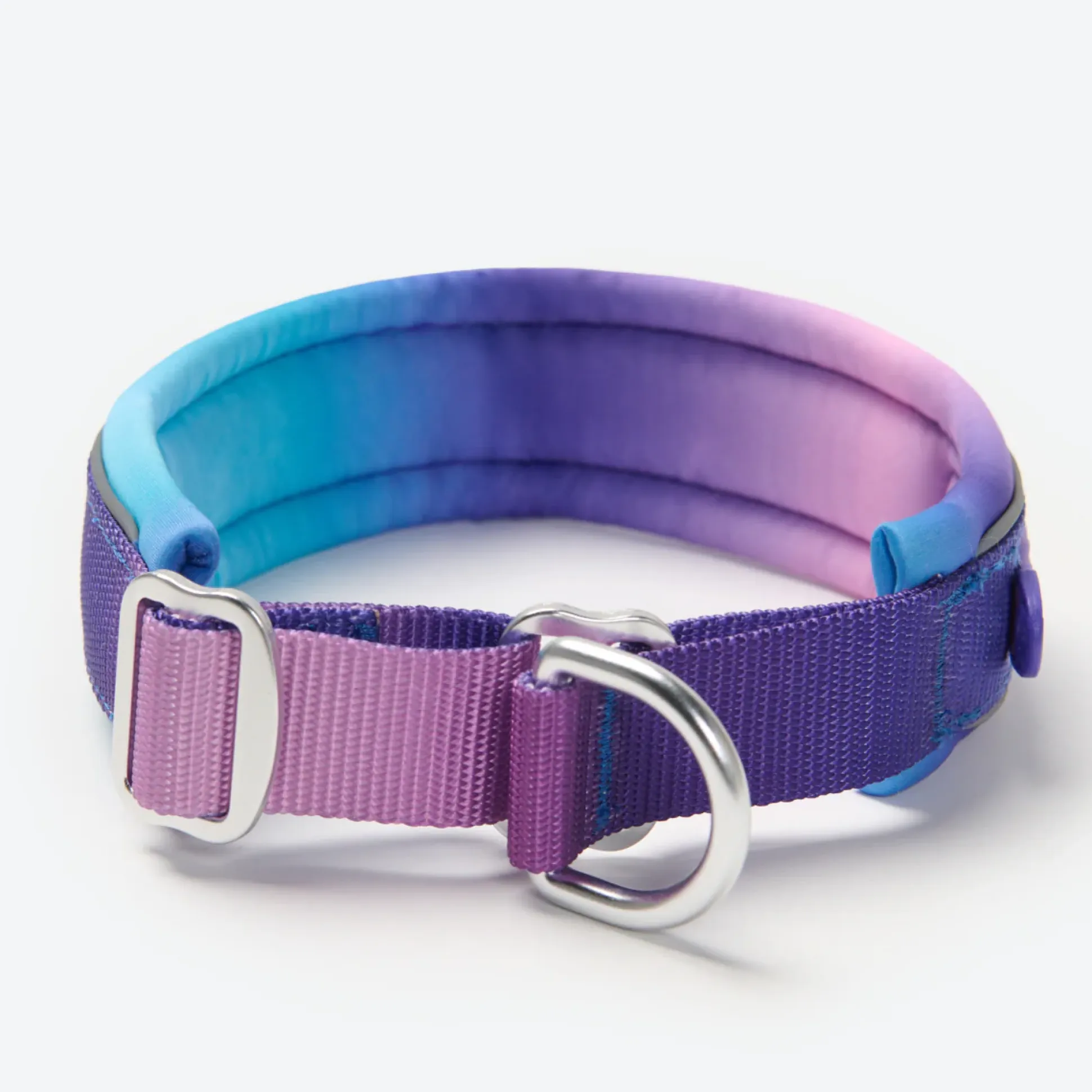 Cushioned Martingale Collar - 90s Retro