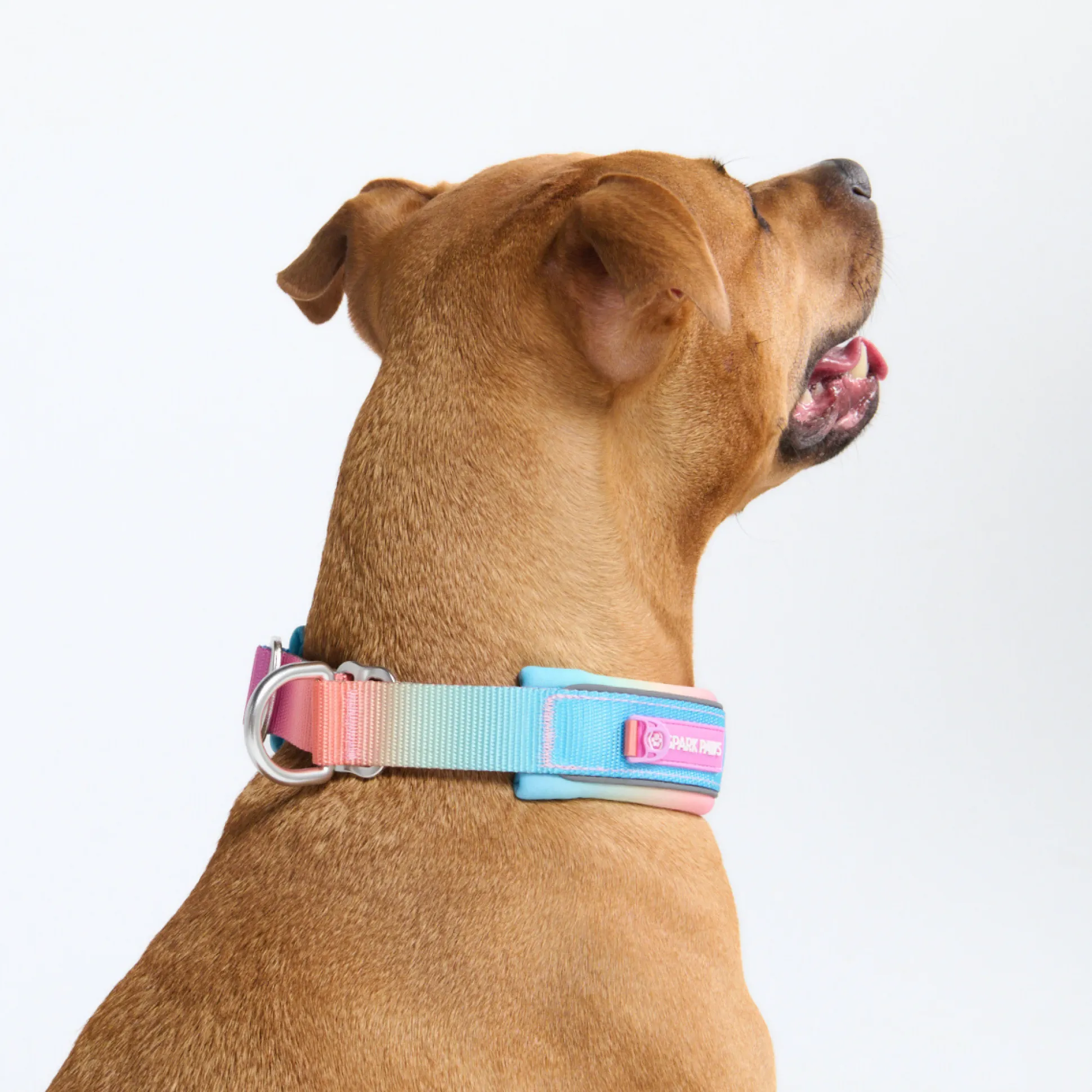 Cushioned Martingale Collar - Pastel Icing