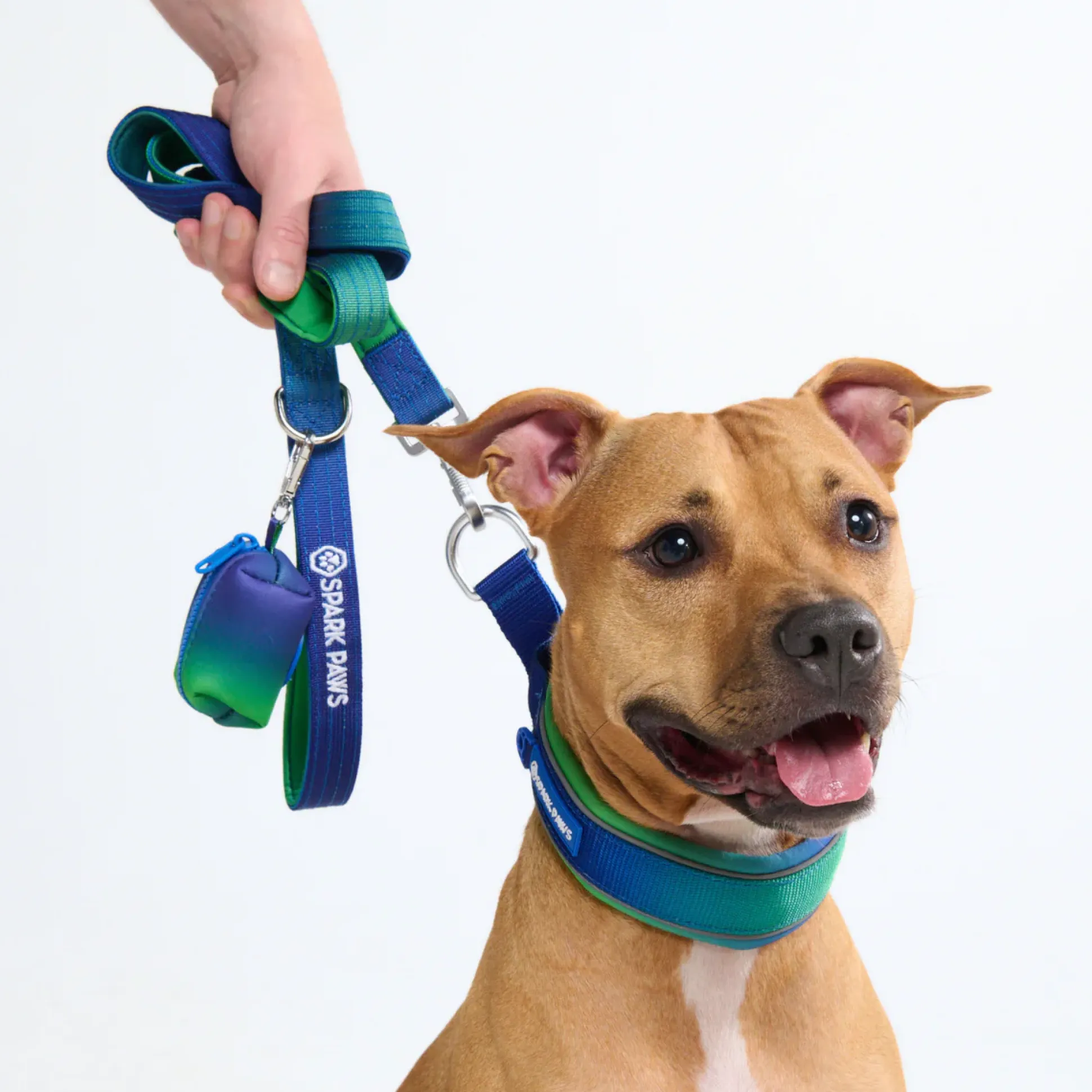 Cushioned Martingale Collar - Lime Wave