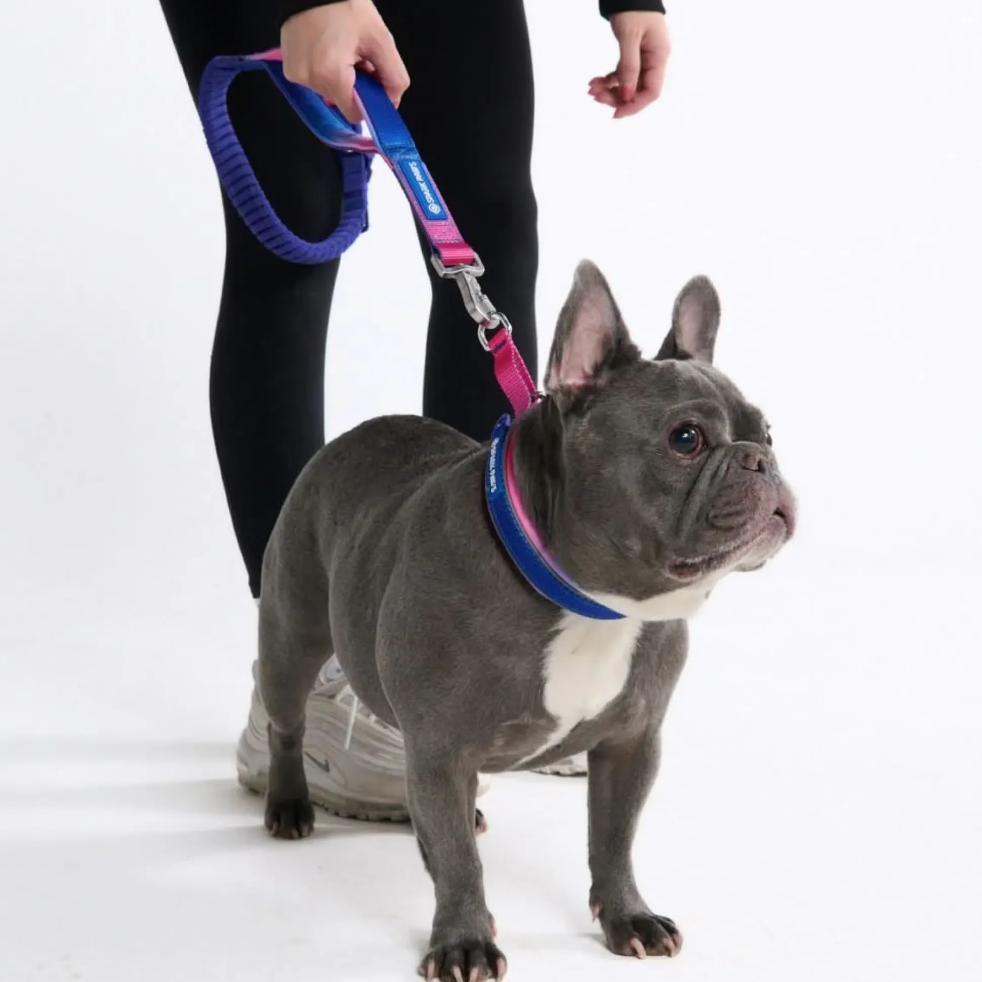 Cushioned Martingale Collar - Snow Cone