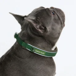 Cushioned Martingale Collar - Army Green
