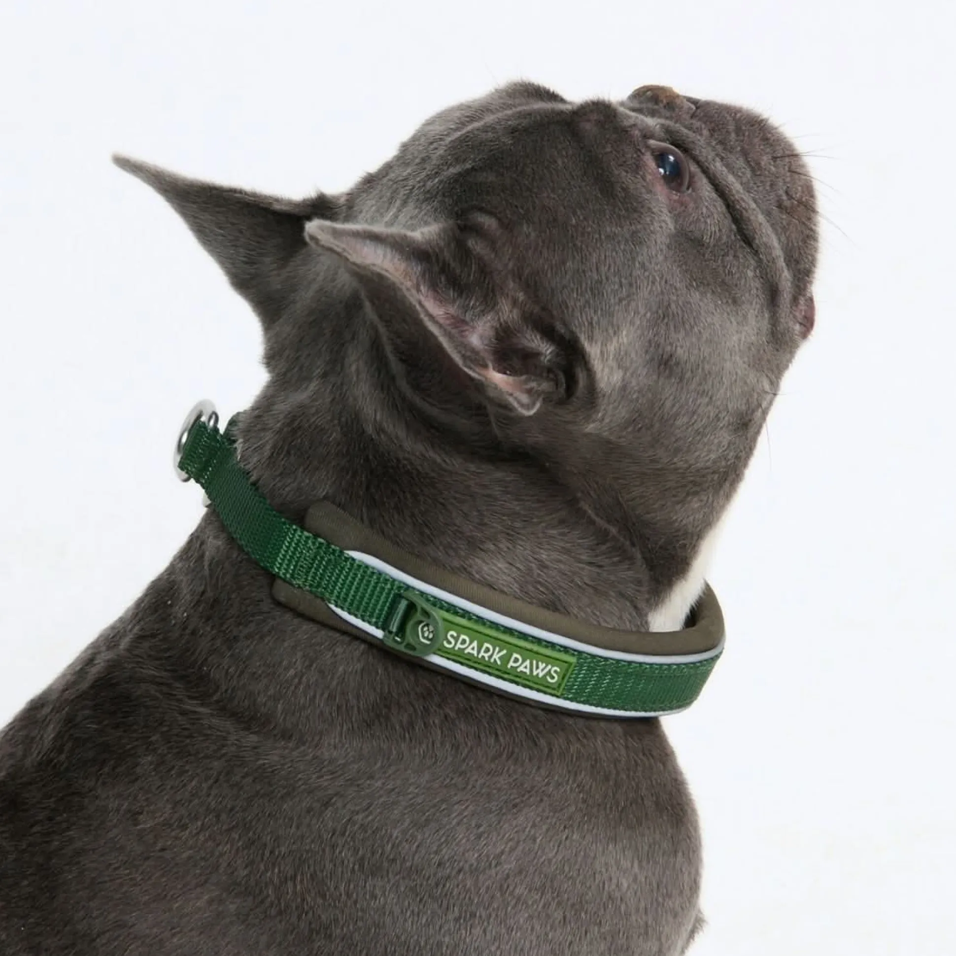 Cushioned Martingale Collar - Army Green