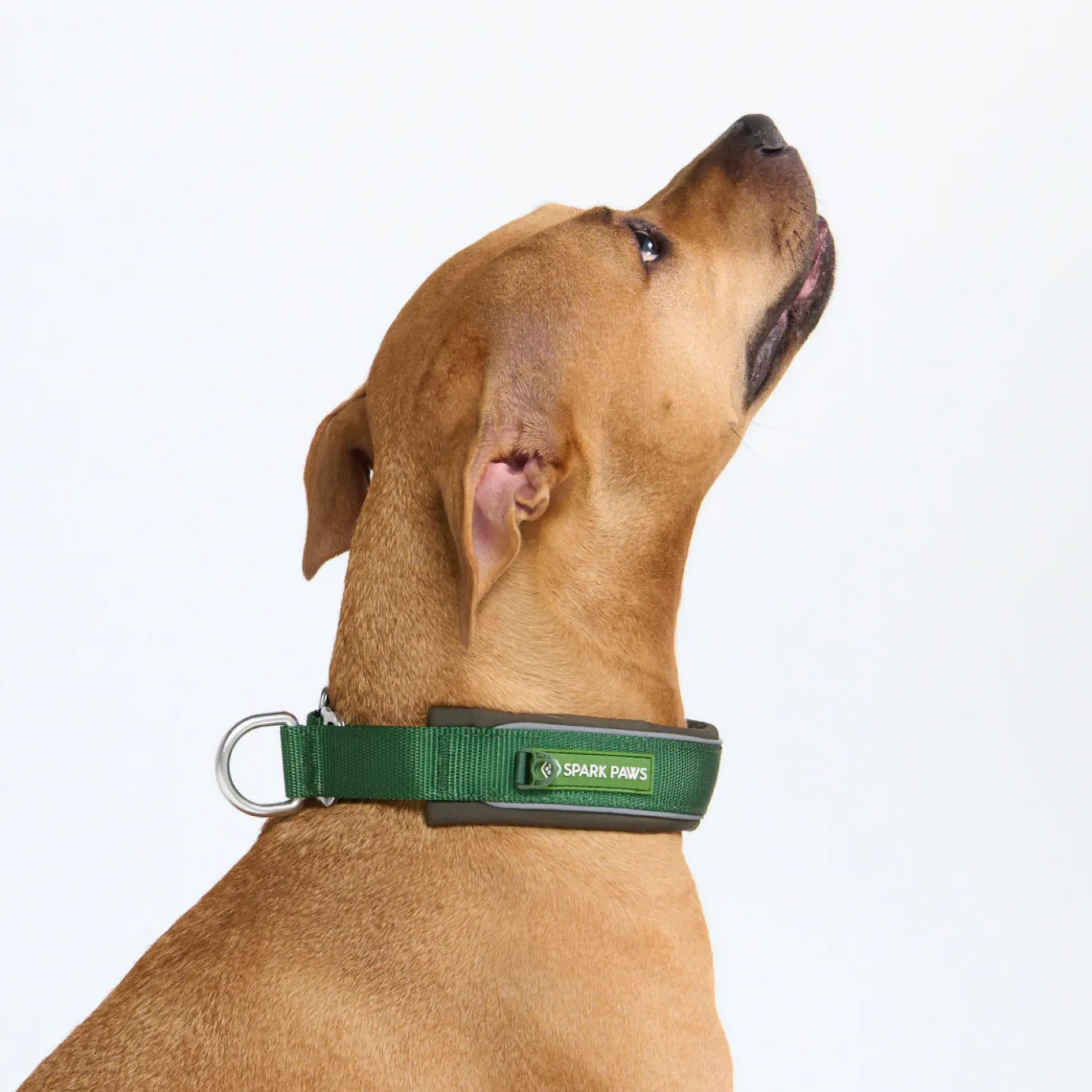 Cushioned Martingale Collar - Army Green