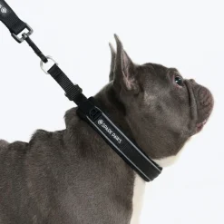 Cushioned Martingale Collar - Black