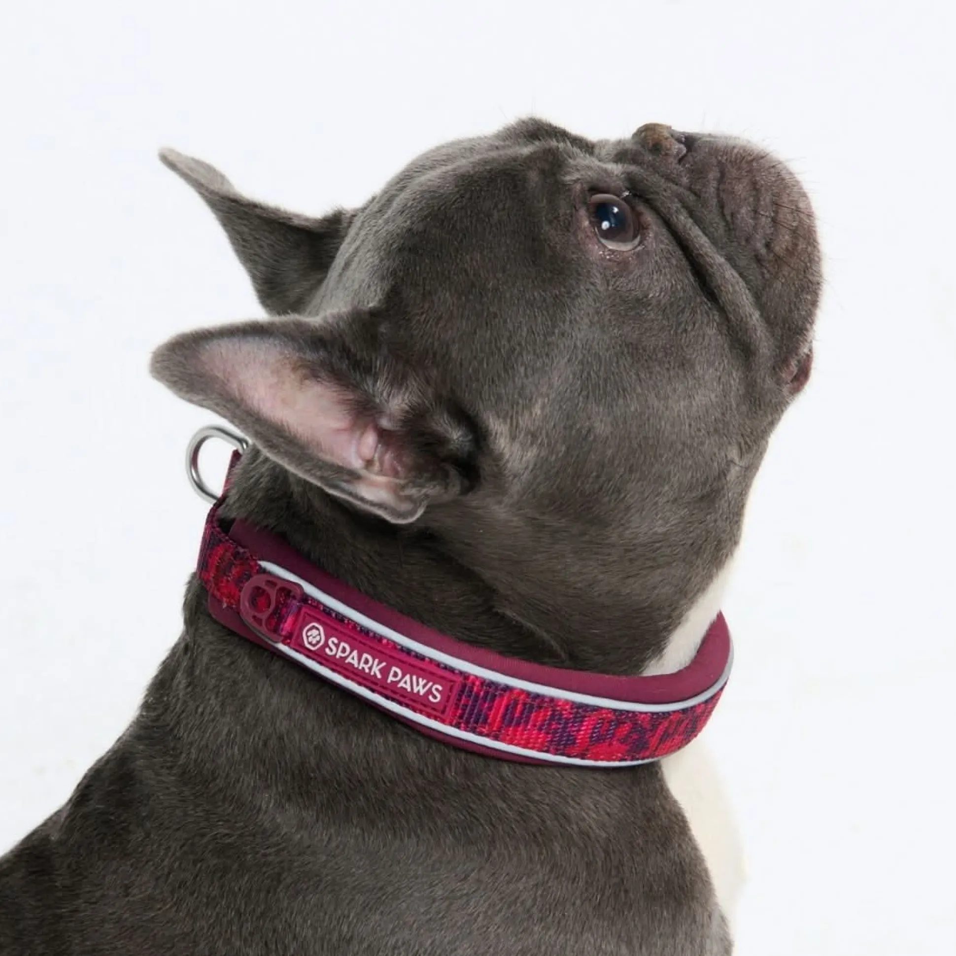 Cushioned Martingale Collar - Fuchsia Camo