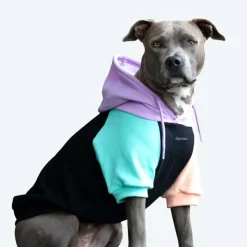 Cyber Punk Dog Hoodie