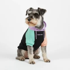 Cyber Punk Dog Hoodie