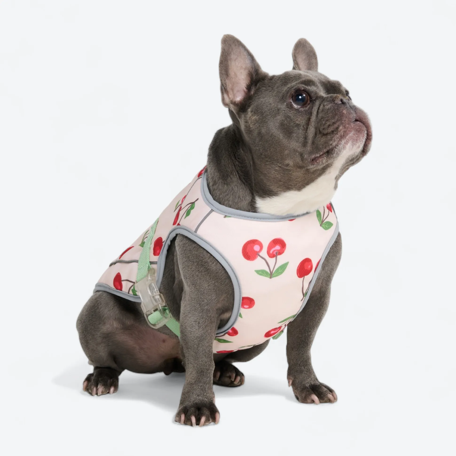 Dog Cooling Vest - Cherries