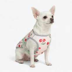 Dog Cooling Vest - Cherries