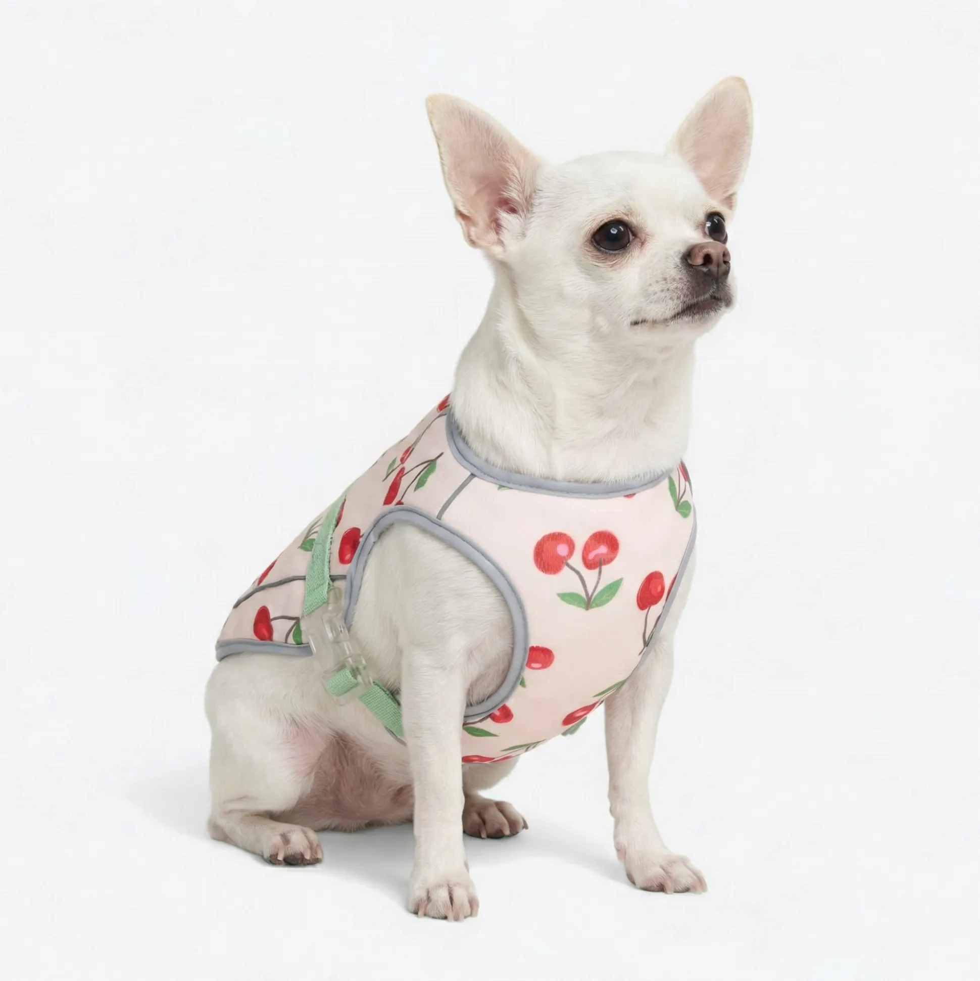 Dog Cooling Vest - Cherries
