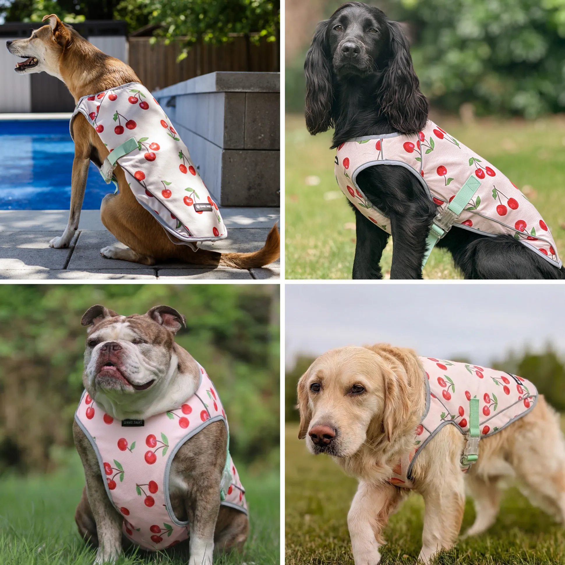 Dog Cooling Vest - Cherries