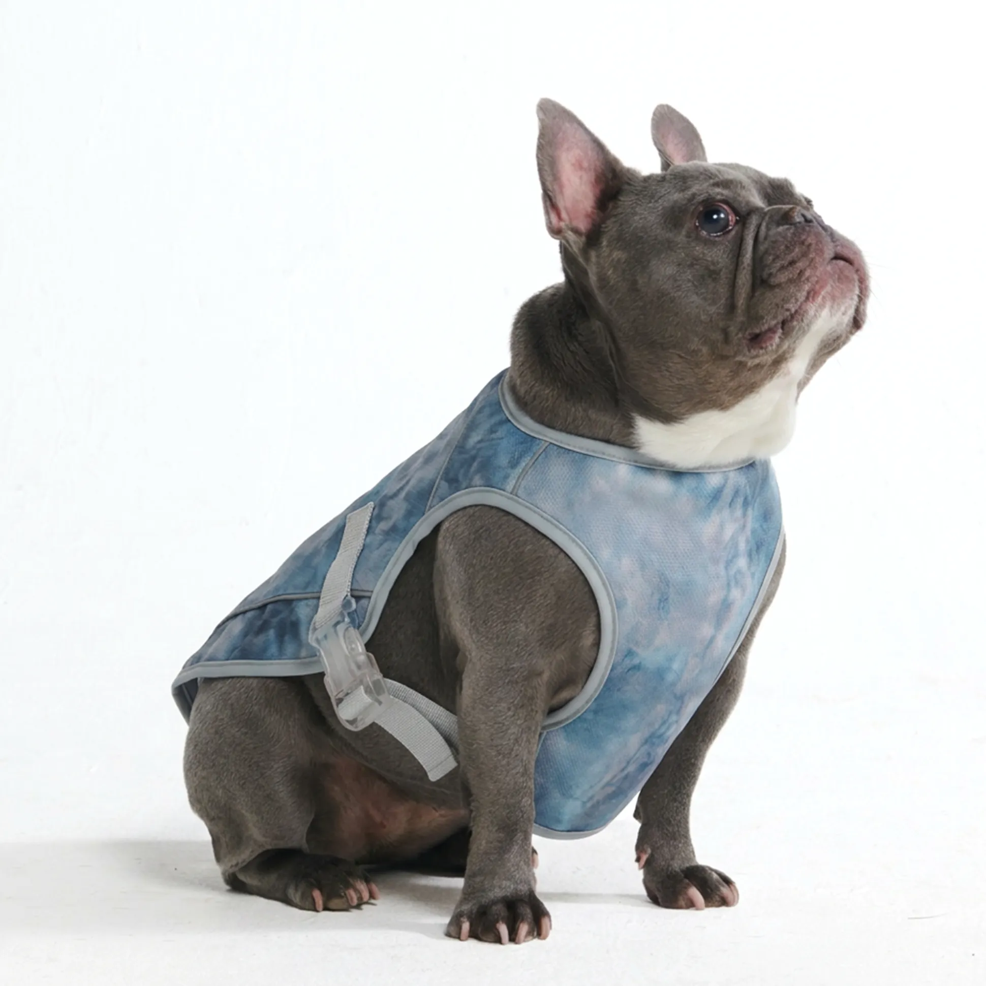 Dog Cooling Vest - Ice Blue