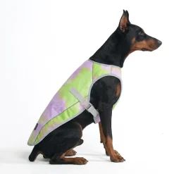 Dog Cooling Vest - Neon Purple