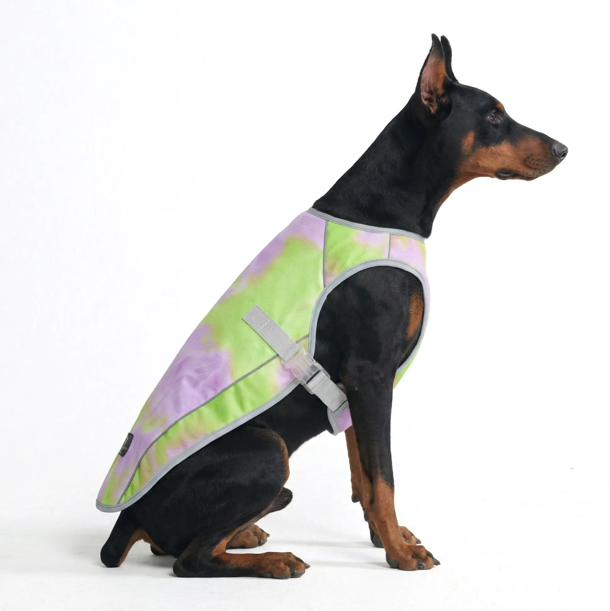 Dog Cooling Vest - Neon Purple
