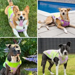 Dog Cooling Vest - Neon Purple