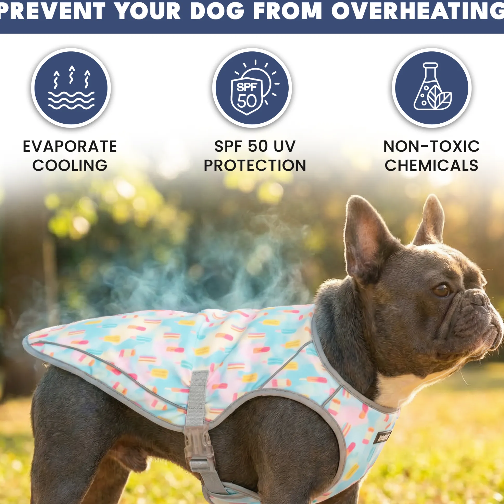Dog Cooling Vest (2-pack) - Cherries & Popsicles