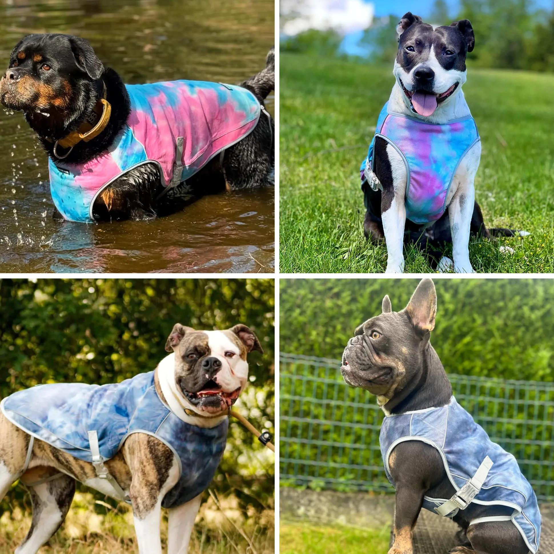 Dog Cooling Vest (2-pack) - Ice Blue & Snow Cone