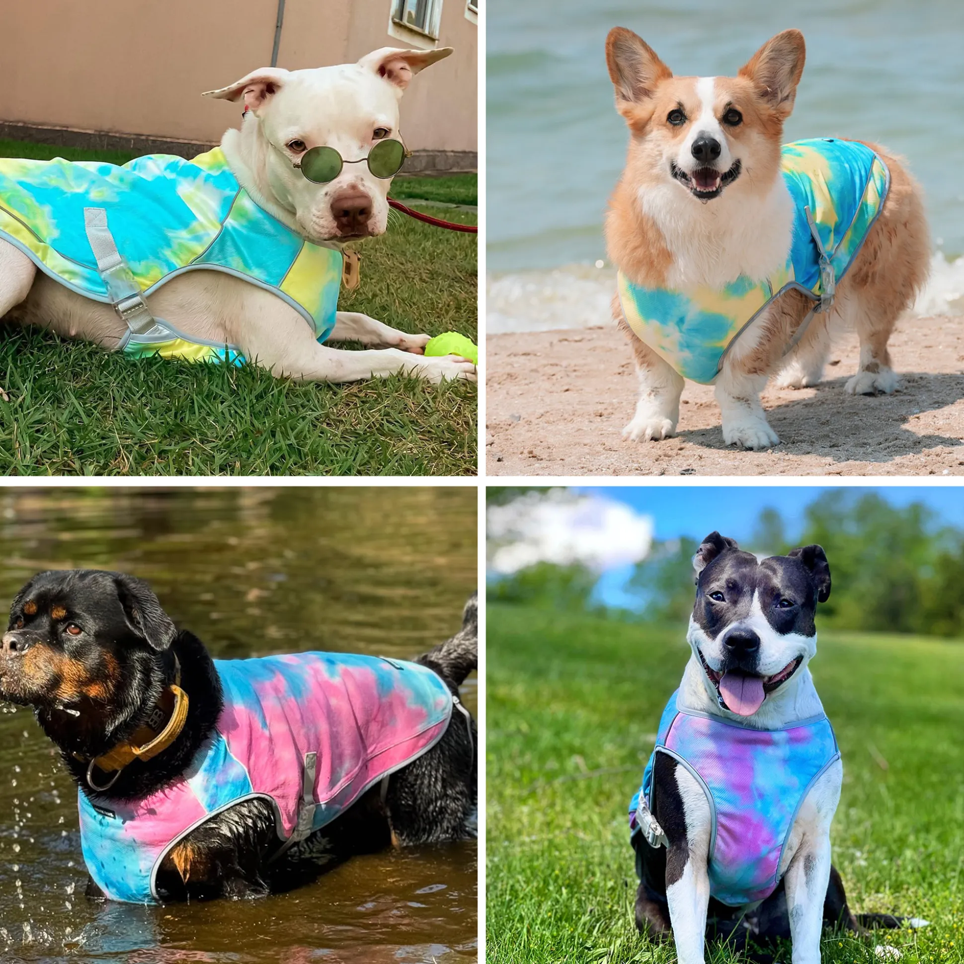Dog Cooling Vest (2-pack) - Snow Cone & Tropical Storm