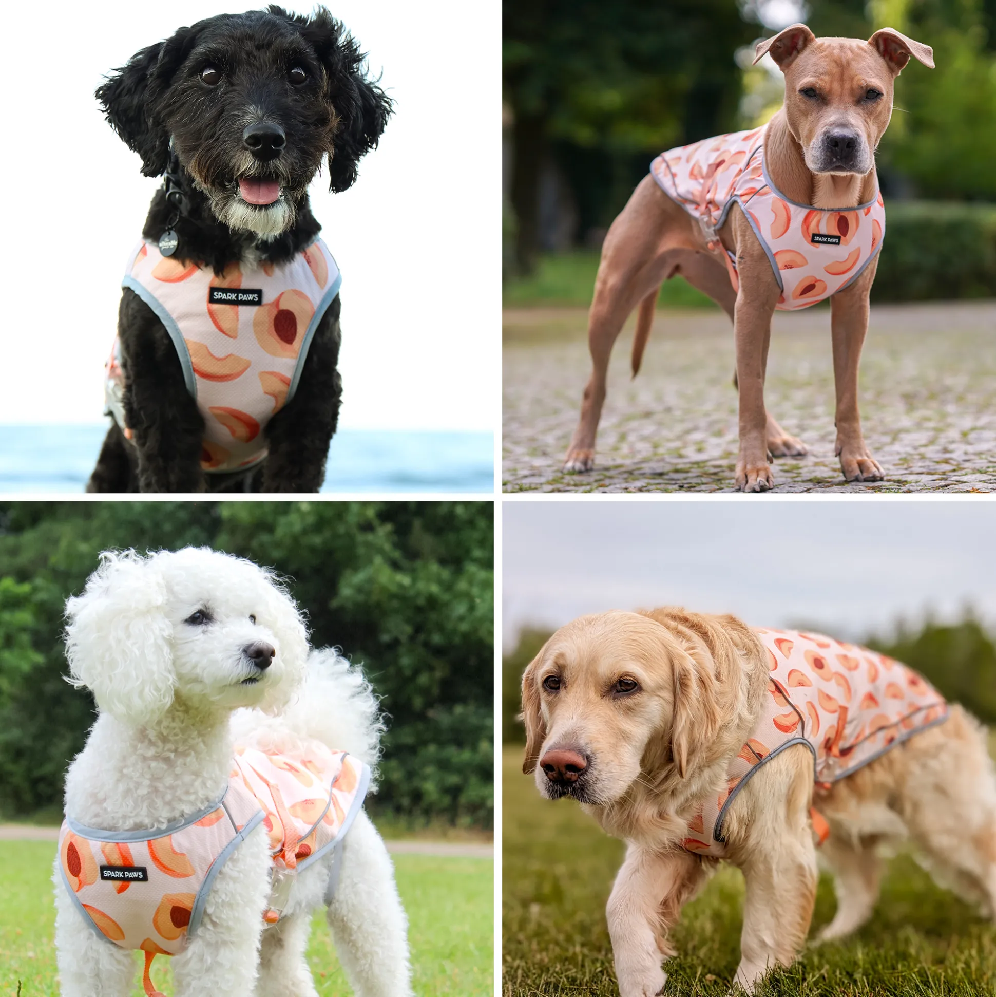 Dog Cooling Vest - Peaches
