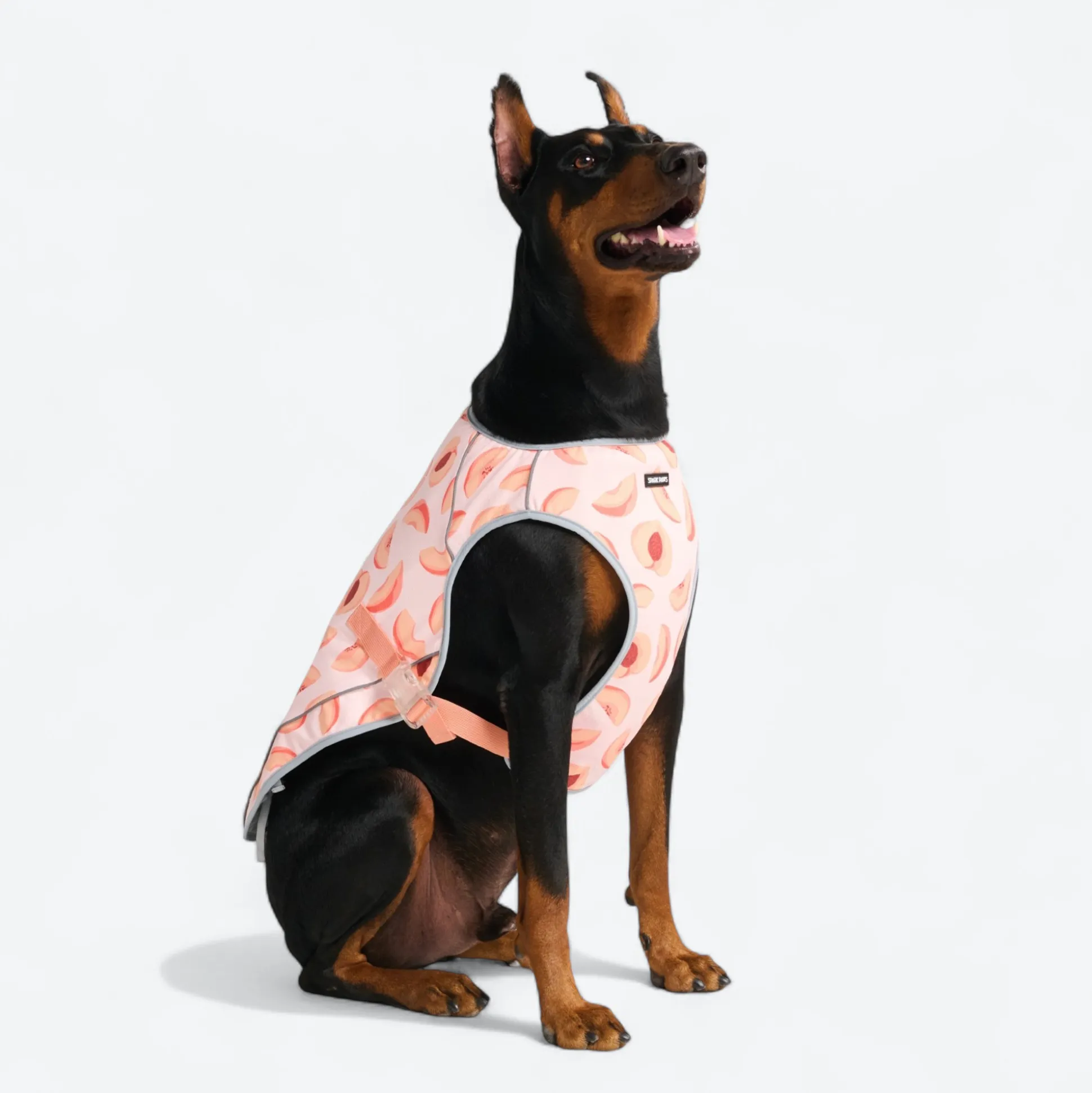 Dog Cooling Vest - Peaches