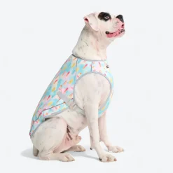 Dog Cooling Vest - Popsicles