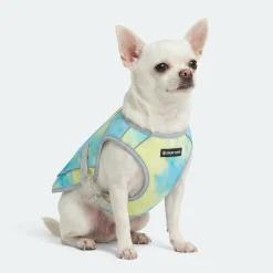 Dog Cooling Vest - Tropical Storm