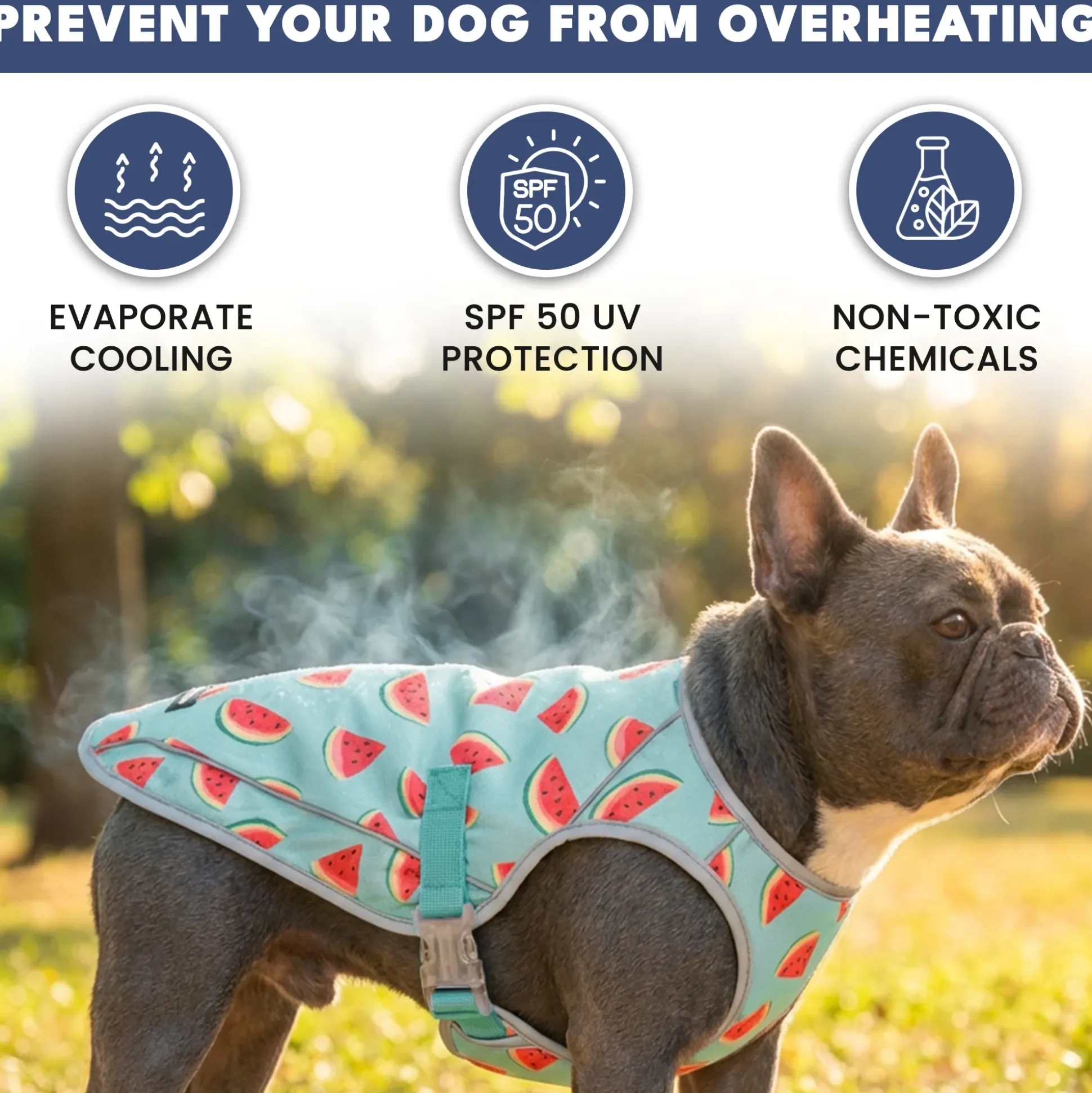 Dog Cooling Vest - Watermelon