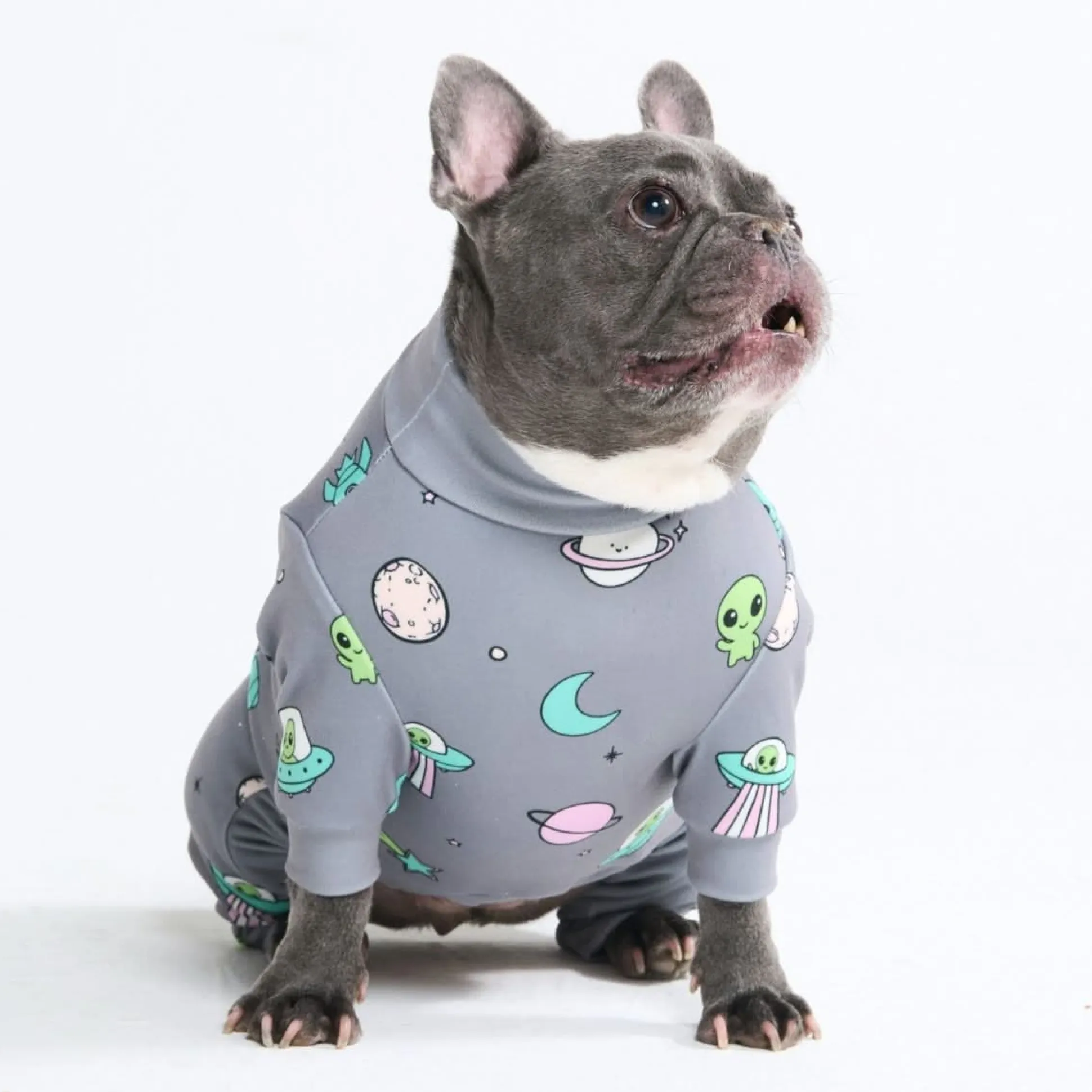 Dog Pajama - Alien