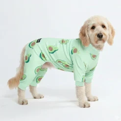 Dog Pajama - Avocado