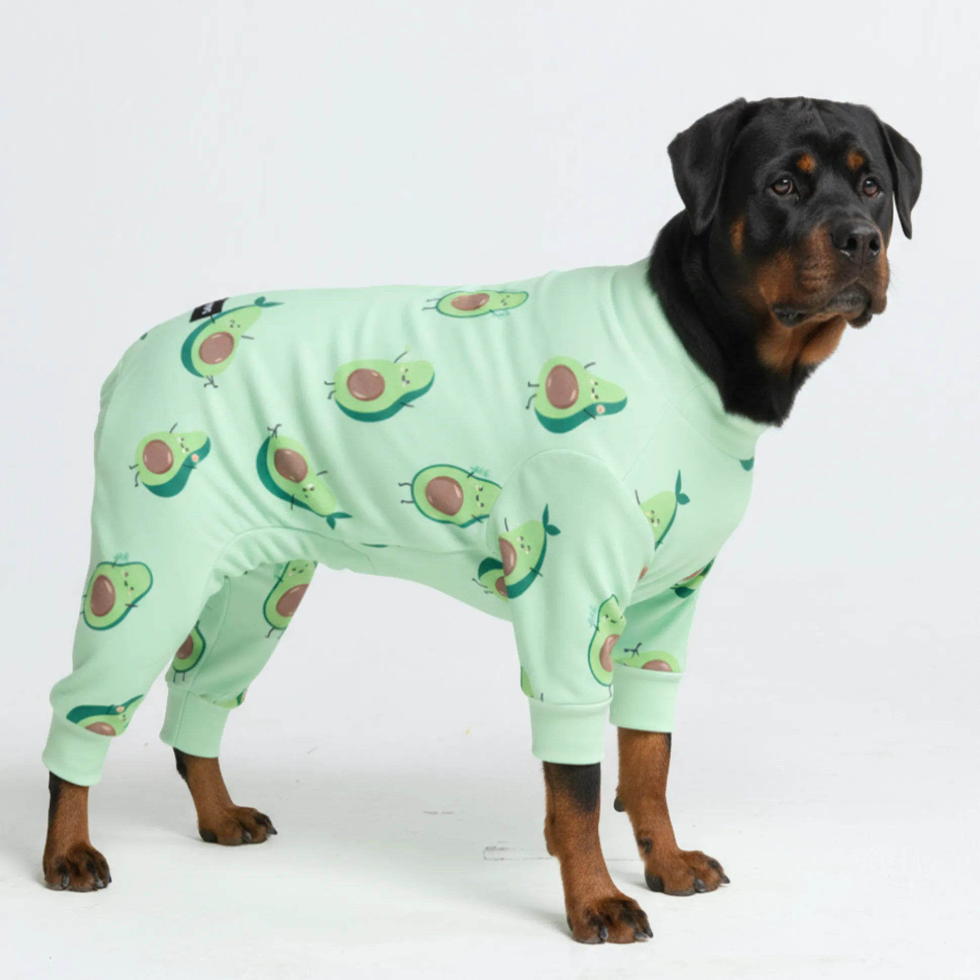 Dog Pajama - Avocado