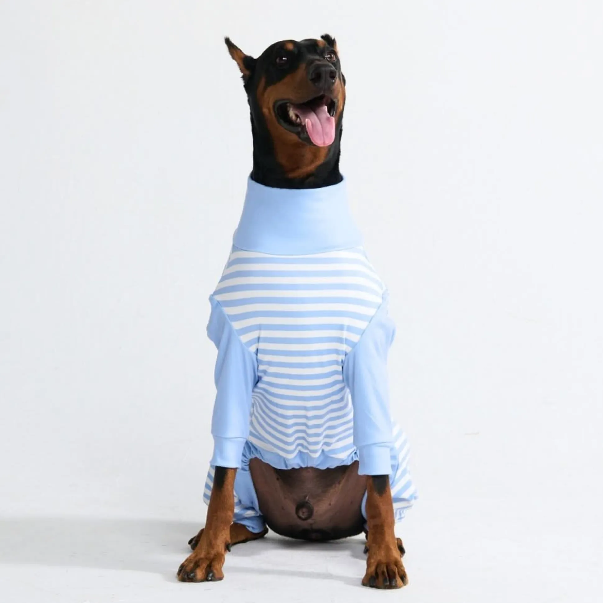 Dog Pajama - Blue Stripes
