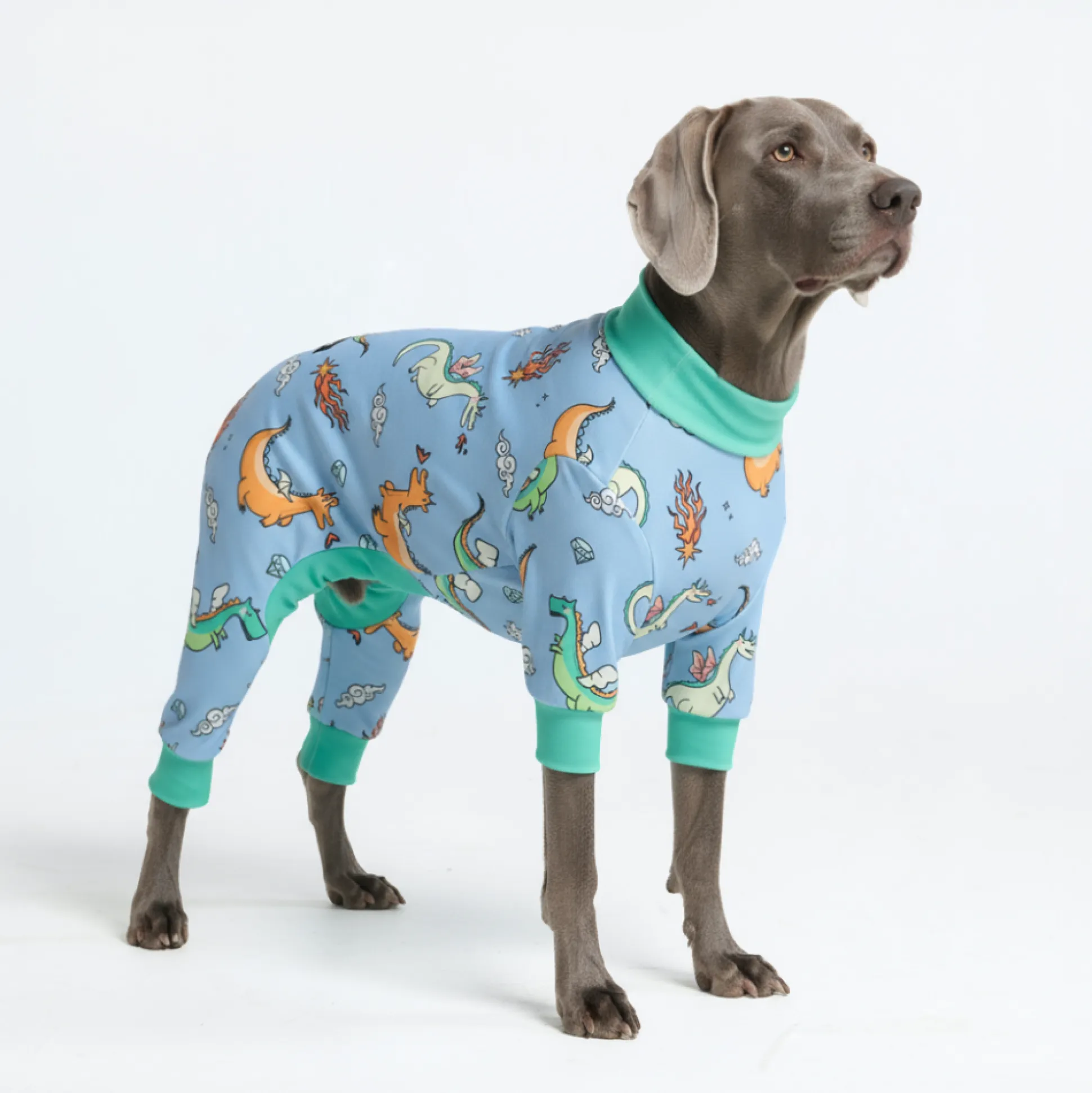 Dog Pajama - Dragons