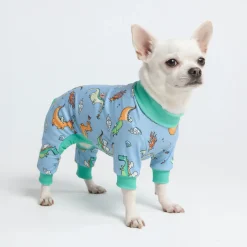 Dog Pajama - Dragons