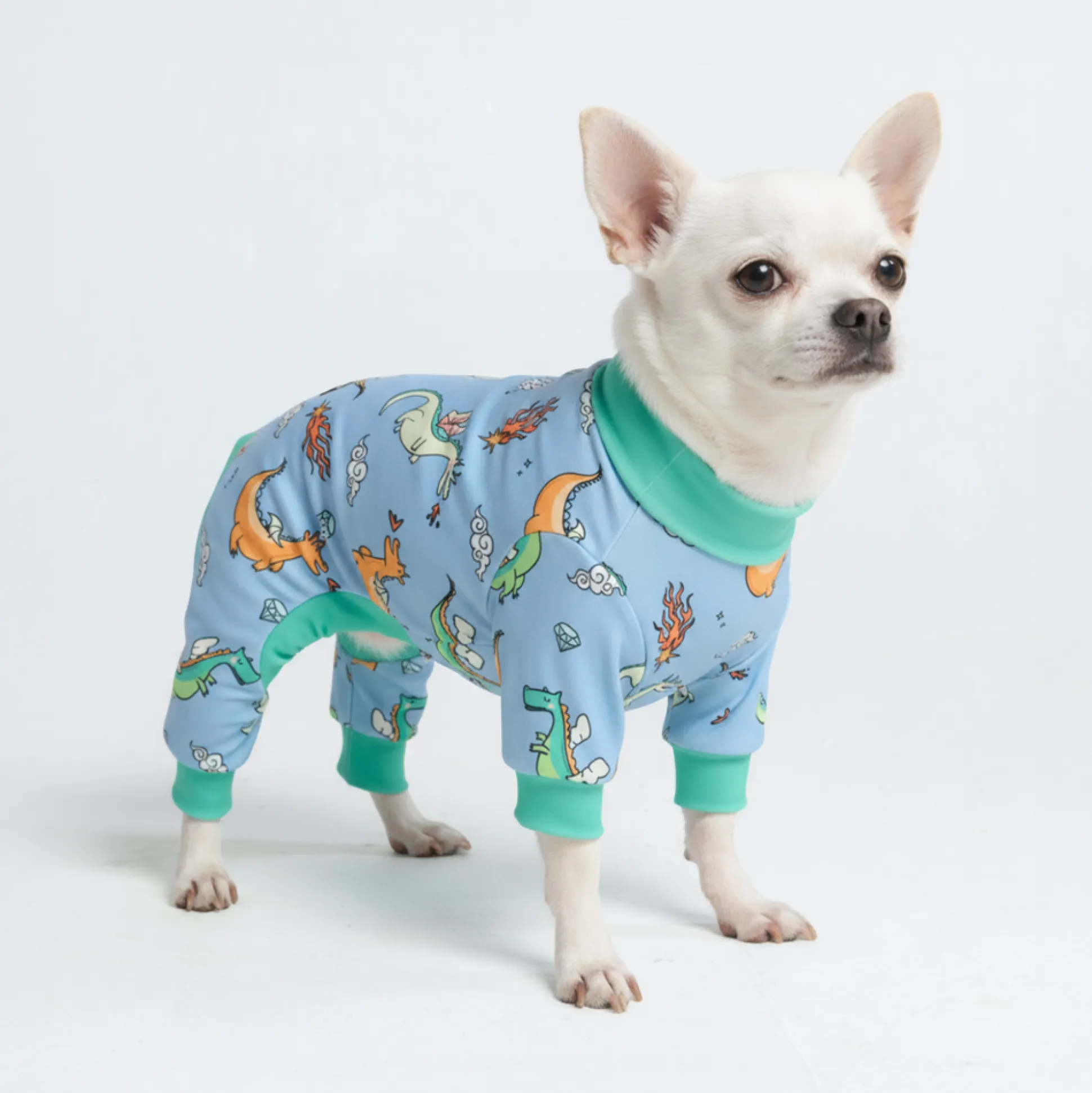 Dog Pajama - Dragons