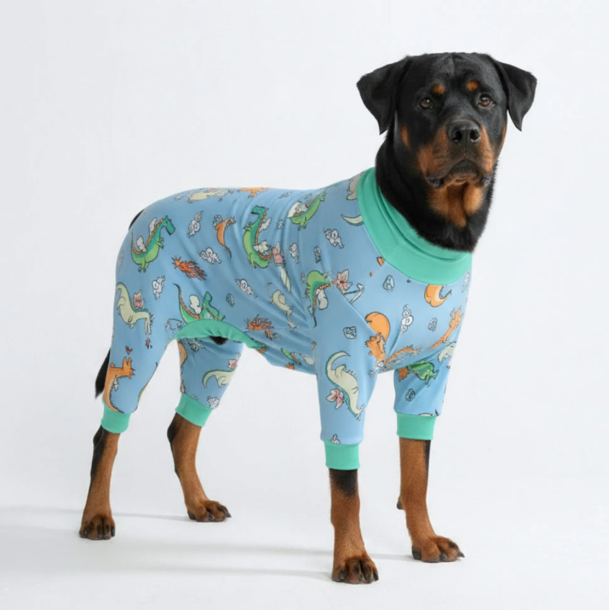 Dog Pajama - Dragons