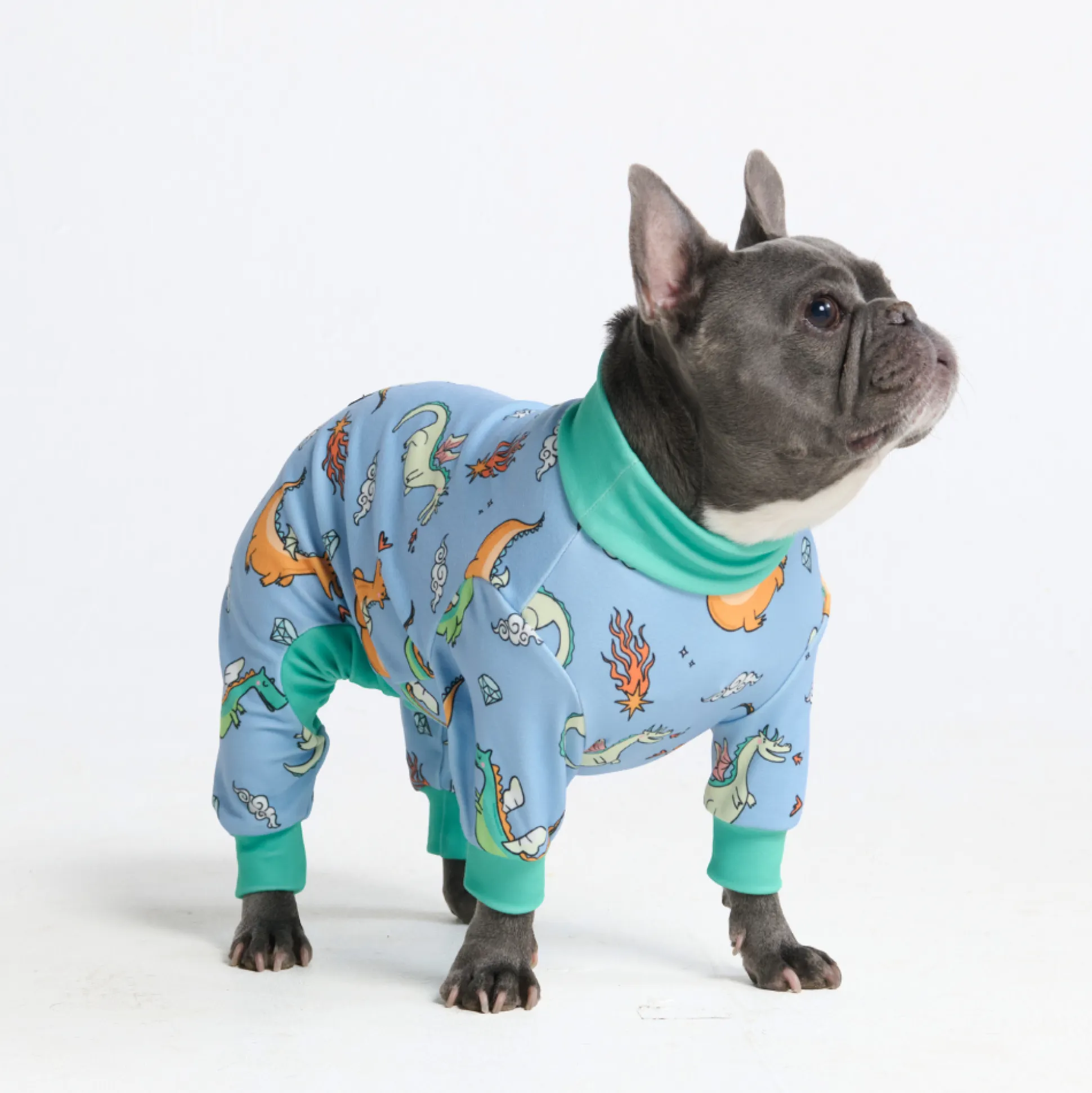 Dog Pajama - Dragons