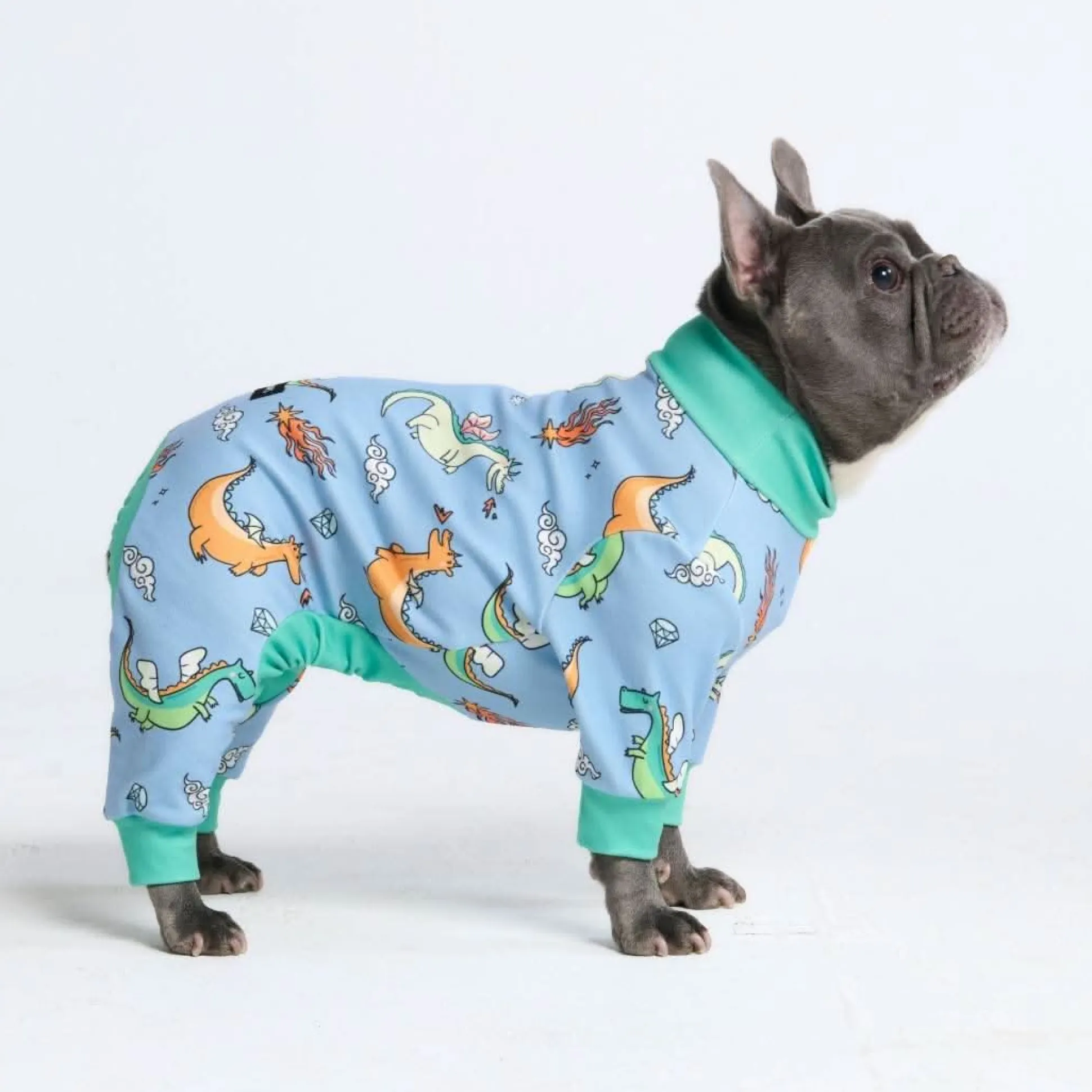 Dog Pajama - Dragons