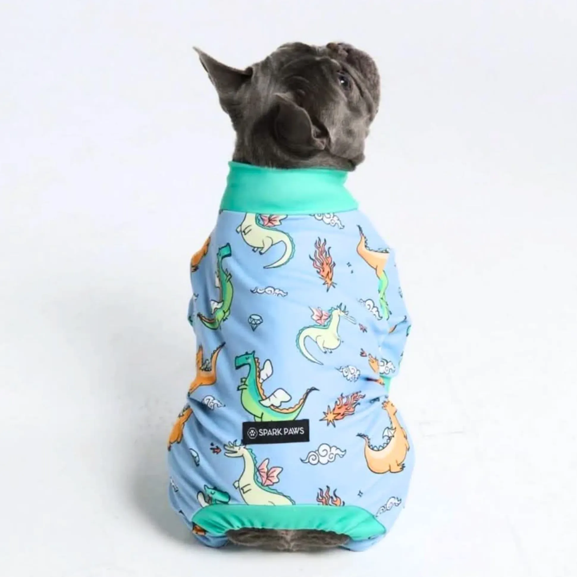 Dog Pajama - Dragons