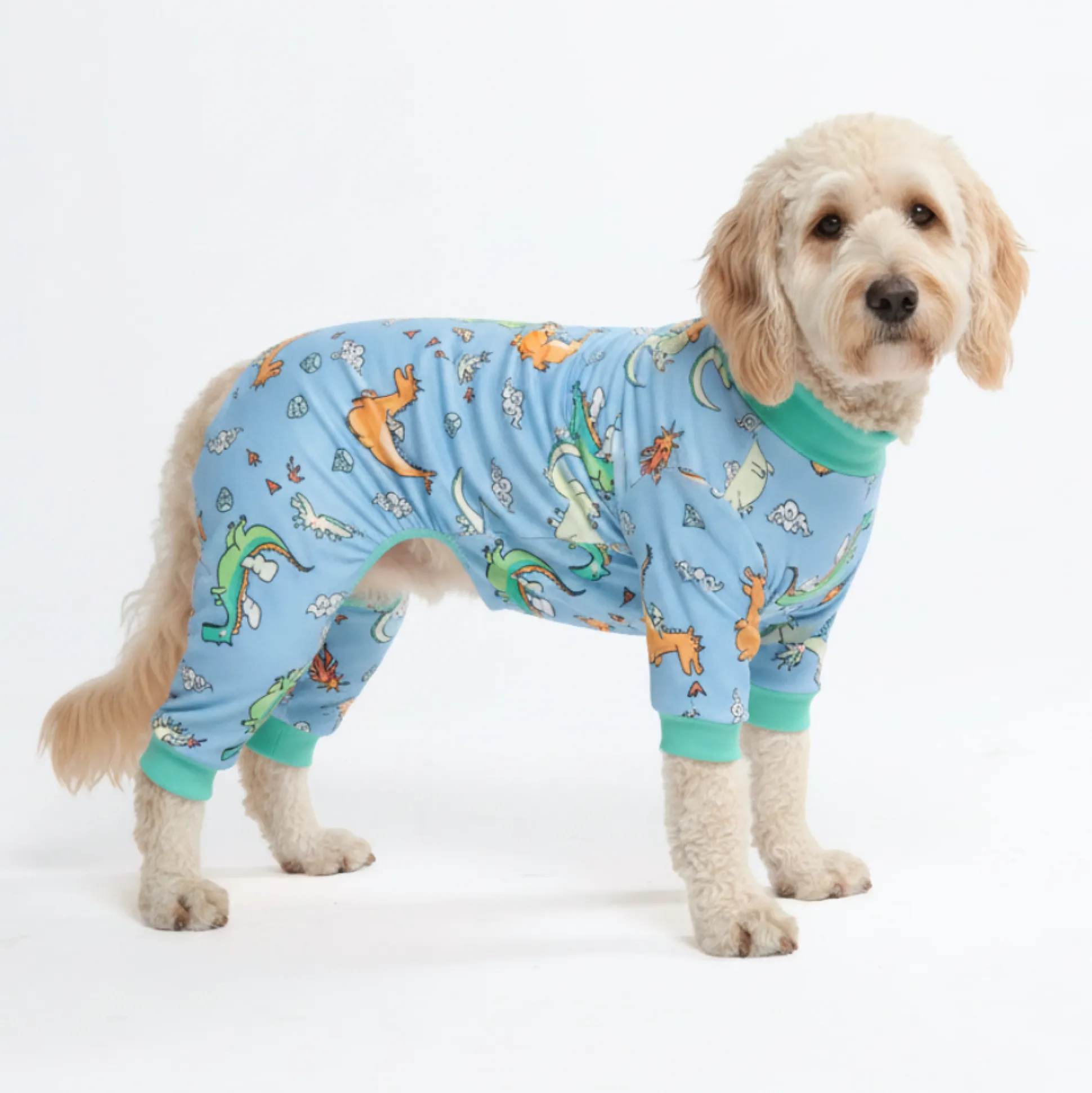 Dog Pajama - Dragons