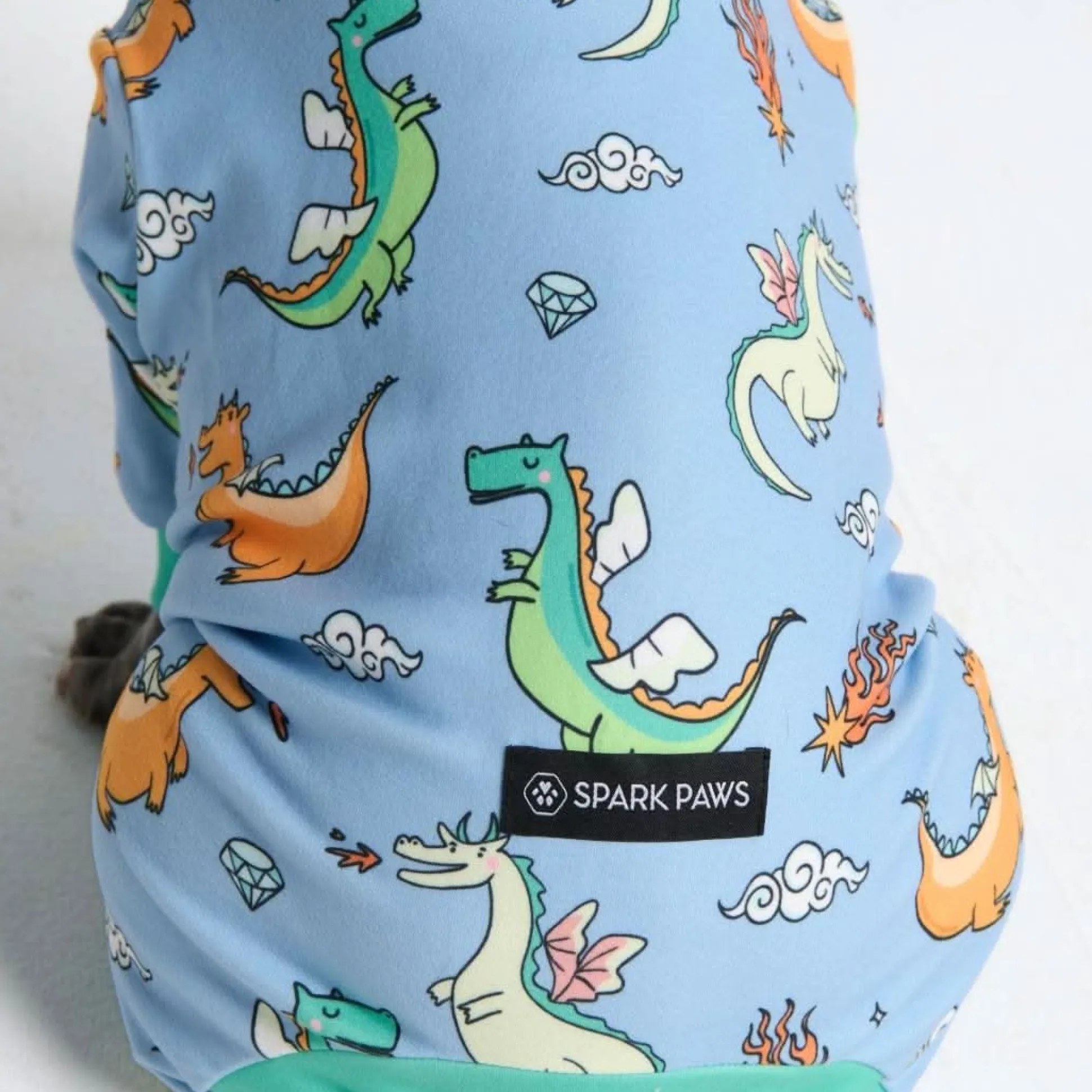Dog Pajama - Dragons