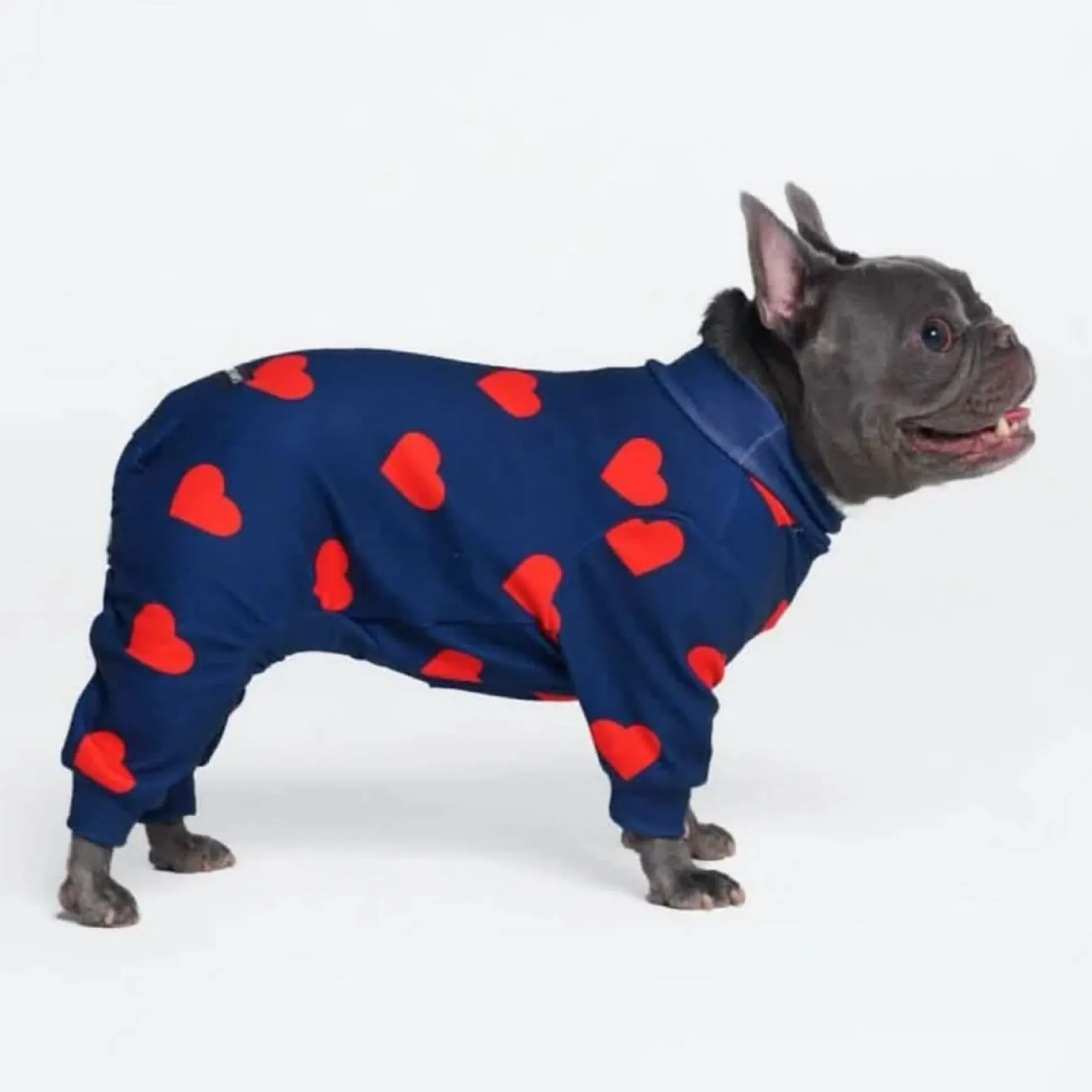 Dog Pajama - Hearts