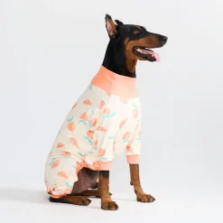 Dog Pajama - Peaches