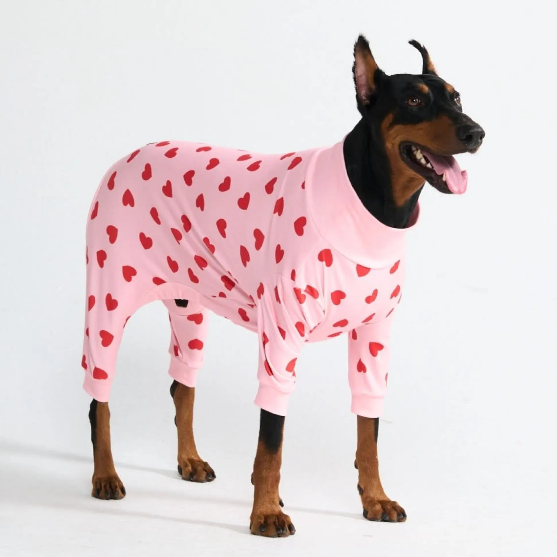 Dog Pajama - Pink Hearts