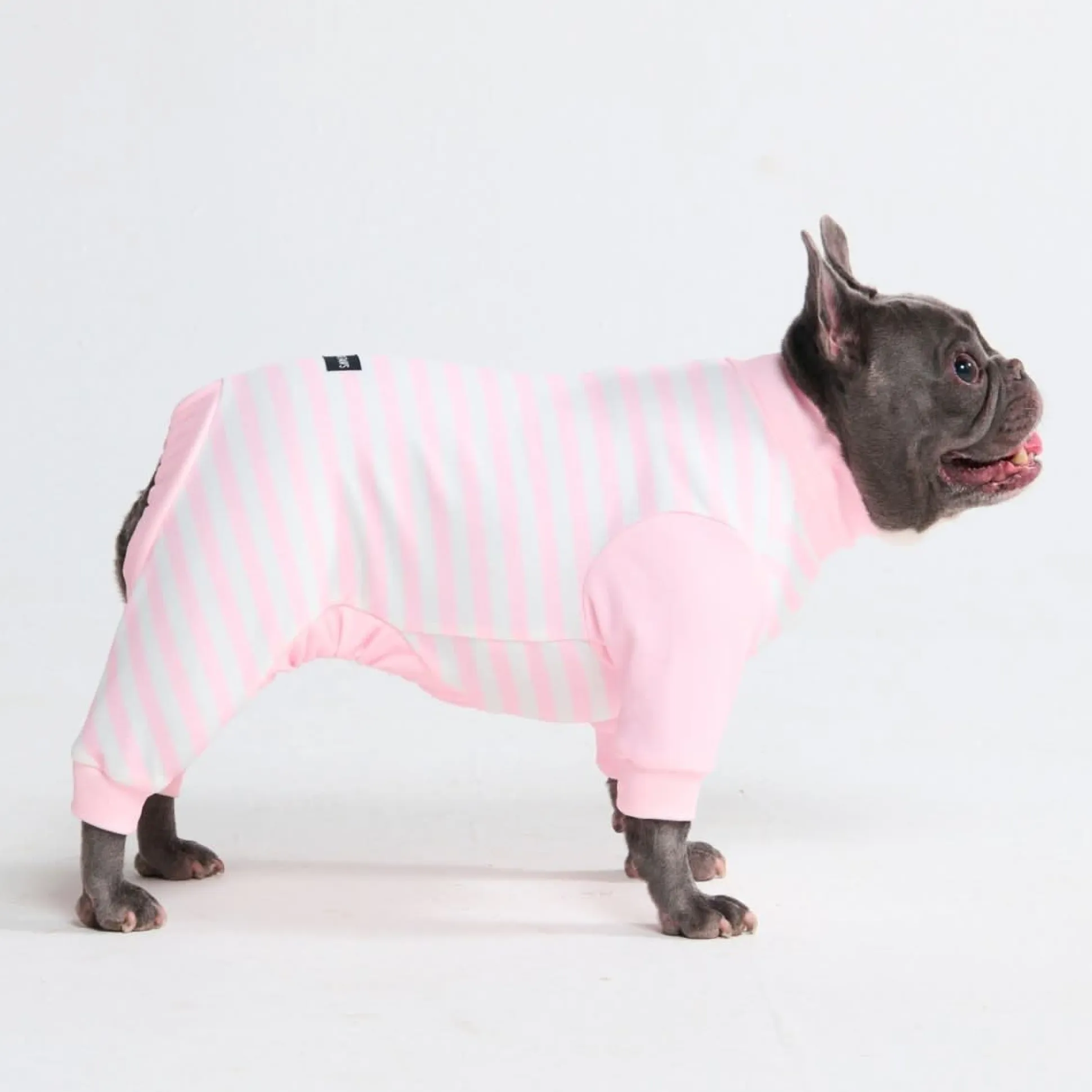 Dog Pajama - Pink Stripes