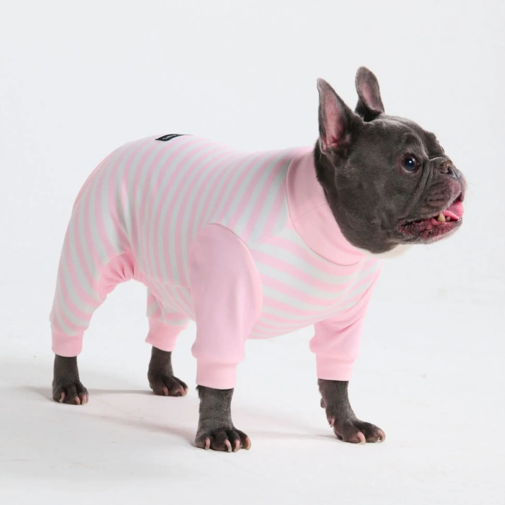 Dog Pajama - Pink Stripes