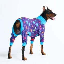 Dog Pajama - Planets