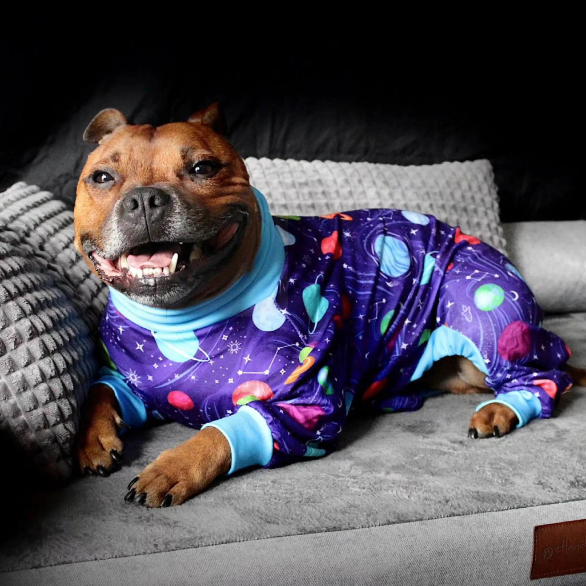 Dog Pajama - Planets