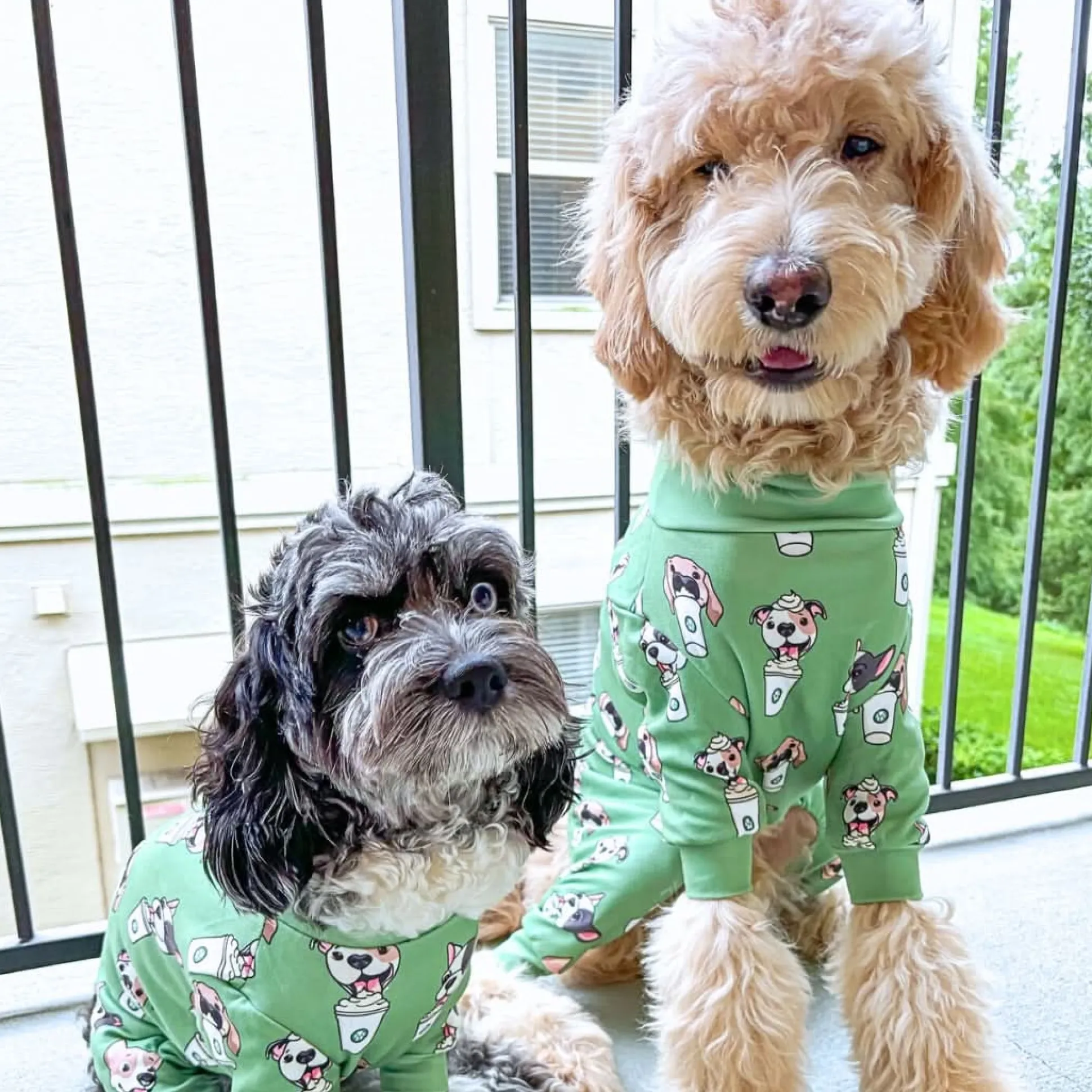 Dog Pajama - Pup Cup